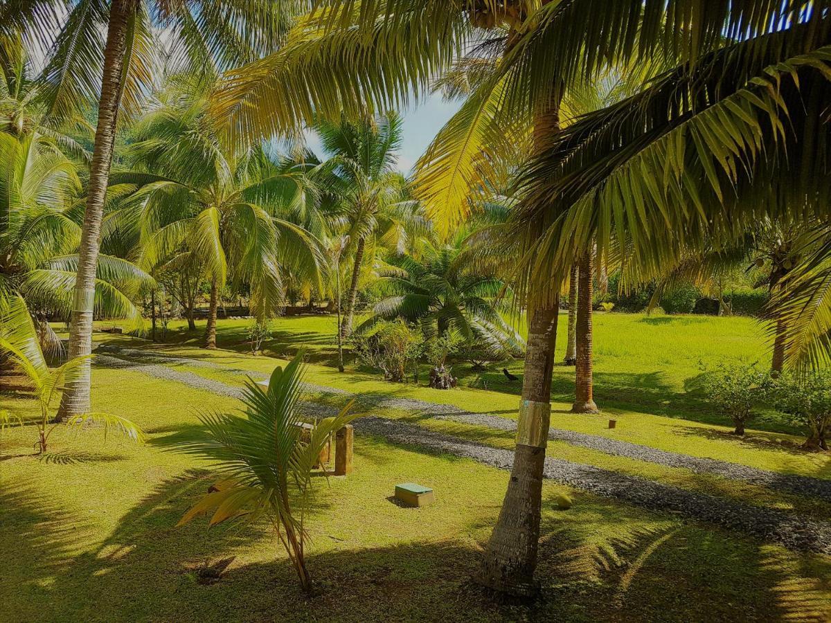 Huahine - Tipanier House Vila Haapu Exterior foto