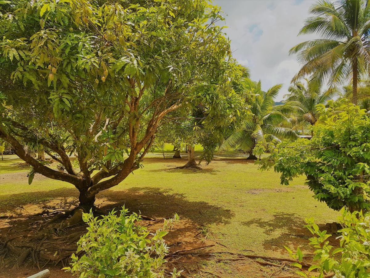Huahine - Tipanier House Vila Haapu Exterior foto